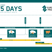 Image of the feeding concept called The first 175 days
