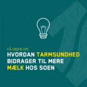 Tarmsundhed bidrager til mere mælk hos soen
