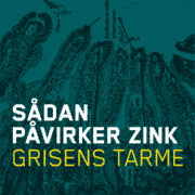 Sådan påvirker zink grisens tarme