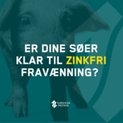Er dine søer klar til zinkfri fravænning
