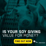 EP200 - compare your price for soy protein in the weaner feed_thumbnail INT.