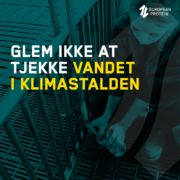 Glem ikke at tjekke vandet i klimastalden