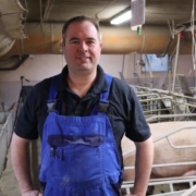 How a pig producer boosts his sows milk yield