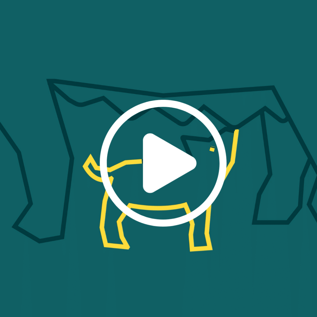 EP199: FERMENTERET PROTEIN, DER FÅR SØERNE TIL AT MALKE