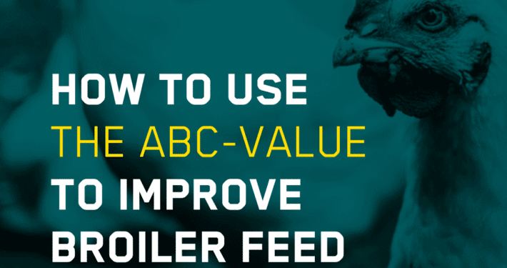 How to use the ABC-value to improve broiler feed