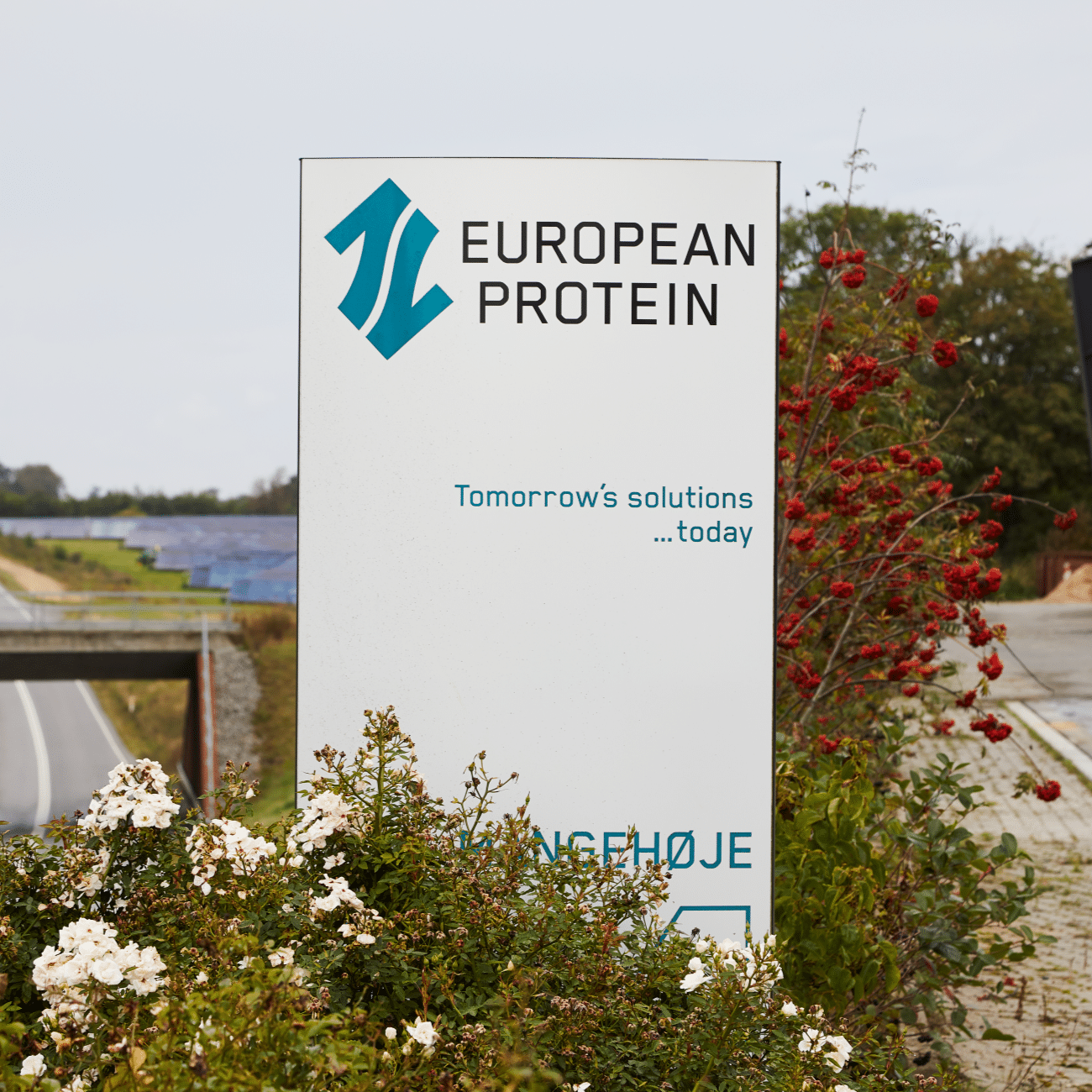 EuropeanProtein-grows