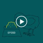 EP200-para-pollos