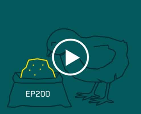 EP200 for broilers