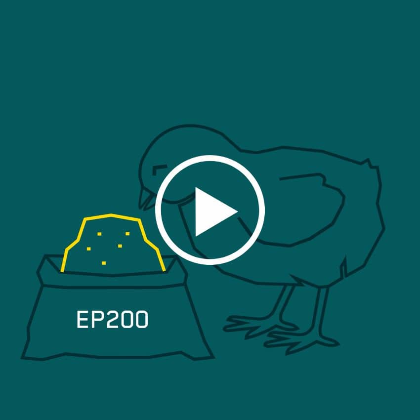 EP200 for broilers